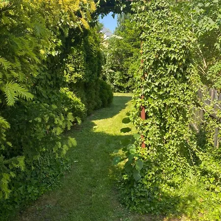 64 * Kopalino