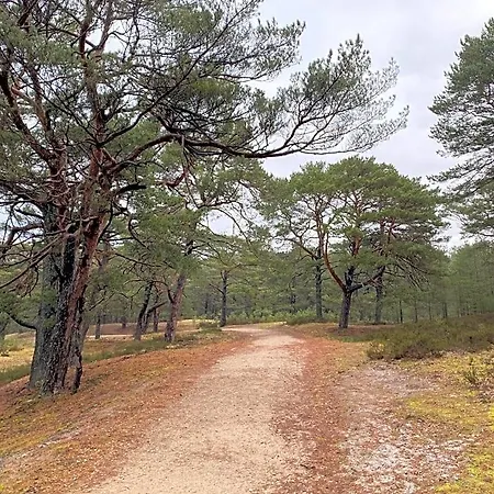 64 Lodge Kopalino