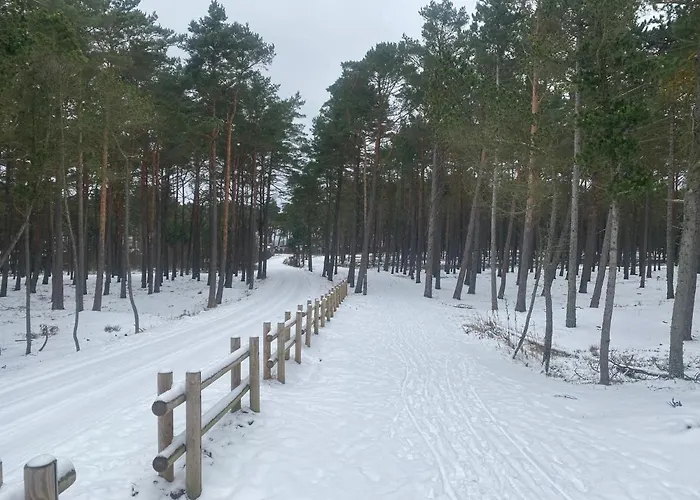 64 山林小屋 科帕利诺